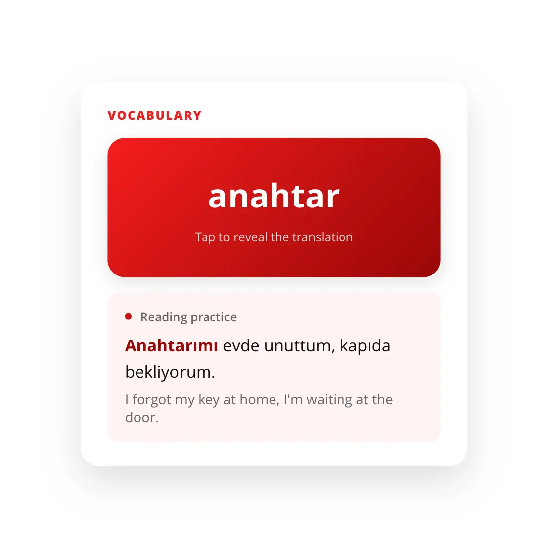 Learn Vocabulary With Flashcards and Reading Practice