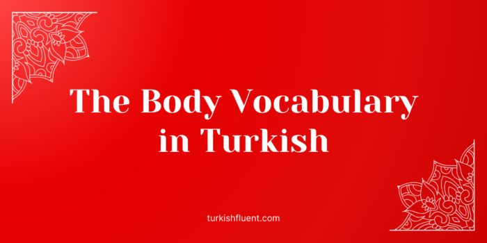The Body Vocabulary in Turkish