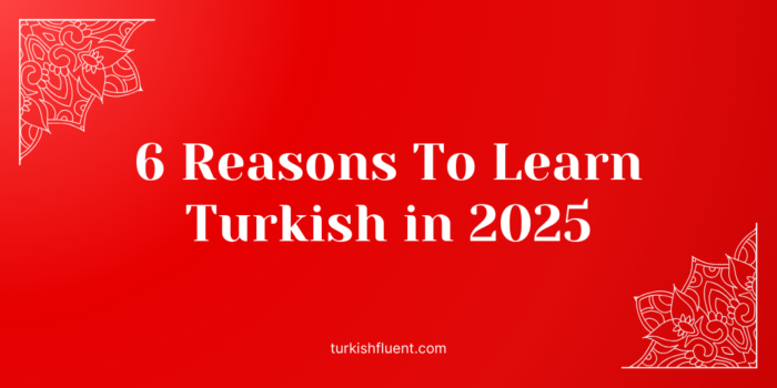 6 Reasons To Learn Turkish in 2025