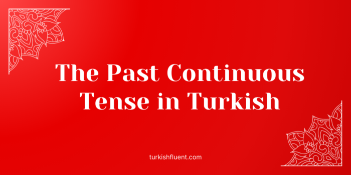 Past Continuous Tense in Turkish