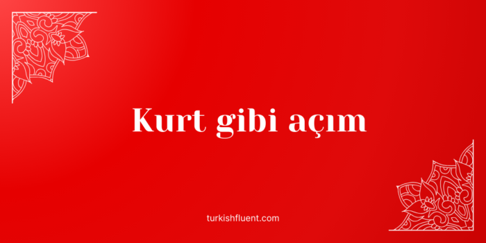Kurt gibi açım Turkish idiom