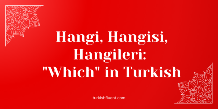 Hangi Hangisi Hangileri in Turkish