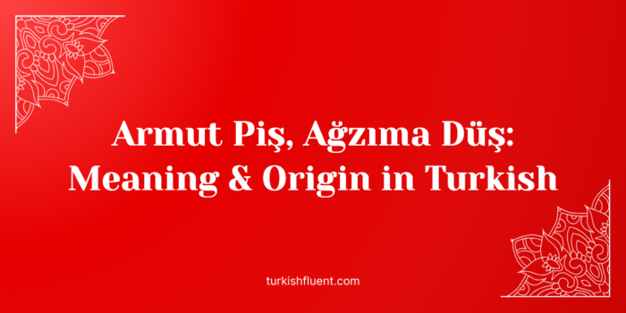 Armut Piş, Ağzıma Düş: Meaning & Origin in Turkish
