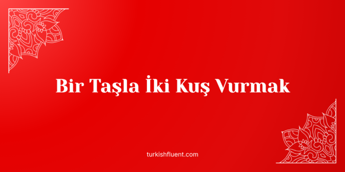 Bir Taşla İki Kuş Vurmak